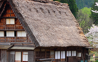 Thatch Roof of house treated with Tropical Shield 600 Flame Retardant